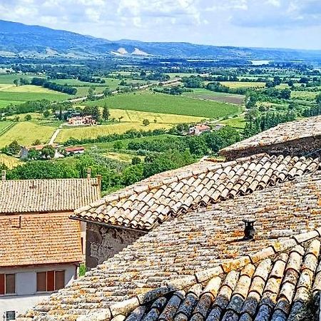 Domus Claudia Villa Castiglione In Teverina Екстериор снимка