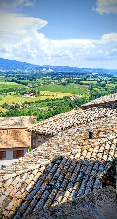 Domus Claudia Villa Castiglione In Teverina Екстериор снимка