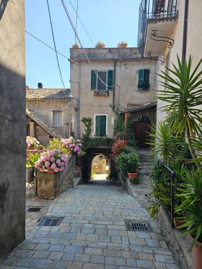 Domus Claudia Villa Castiglione In Teverina Екстериор снимка