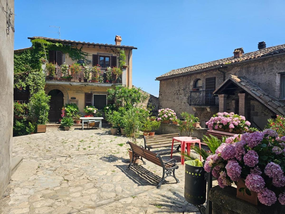 Domus Claudia Villa Castiglione In Teverina Екстериор снимка